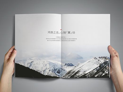 公司catalog
