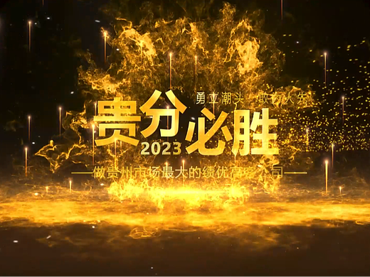 公司年度总结