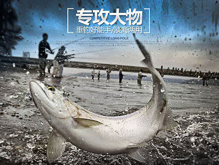 鱼竿详情