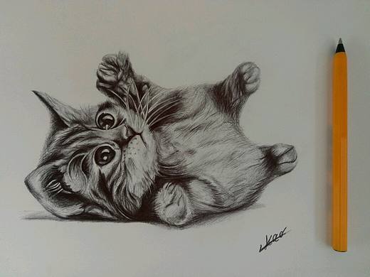 圆珠笔画——小猫
