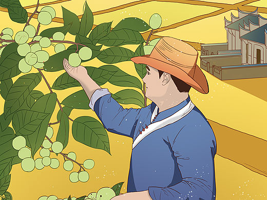 插画包装Ⅰ梾木油（个人主页-ZNjAzMDk0NjA=） - 商业插画 - 站酷设计师清韫与叶原创素材 - 站酷ZCOOL