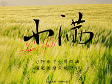 地产小满节气微信海报
