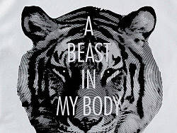tiger