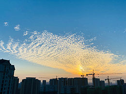 夕阳