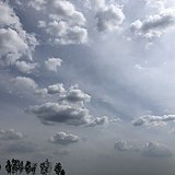 网页设计师小明的头像