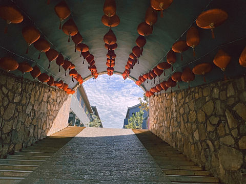 云上牧场