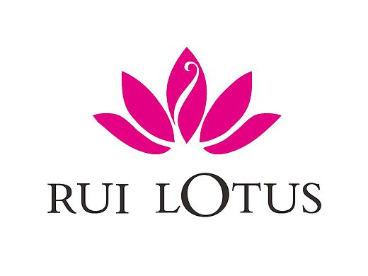 LOGO设计 飞机稿