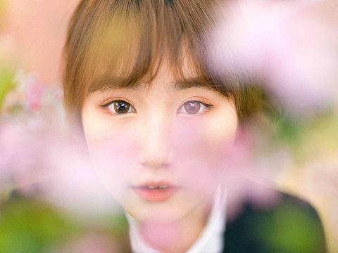 ｜ 阴天晚樱 ｜ 