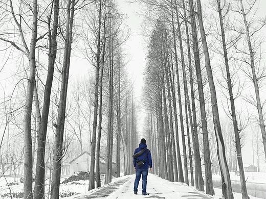 雪渐化