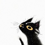 笾缘的头像