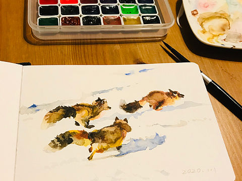 日常 ｜ 水彩速写