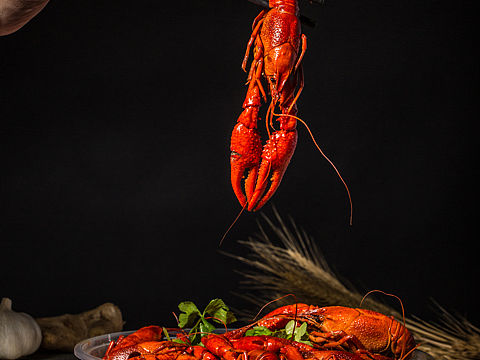 小龙虾