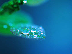 水珠