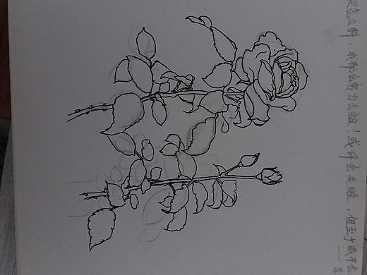 臨摹的手繪線描（個人主頁-ZMzI0NTMyMDg=） - 像素畫 - 站酷設計師舉頭三尺有Joan原創(chuàng)素材 - 站酷ZCOOL