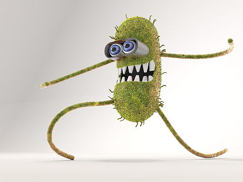 说要做个米酵菌酸毒素，于是……