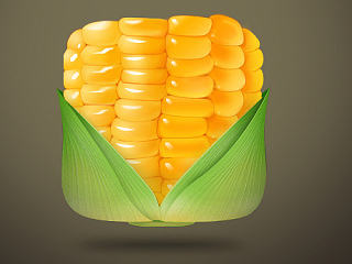 玉米（个人主页-ZNTM0NzEyMA==） - 图标 - 站酷设计师LIOMG原创素材 - 站酷ZCOOL