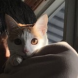 用户头像
