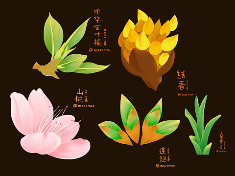 初春发芽er们