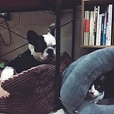 用户头像