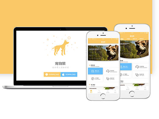 宠物APP