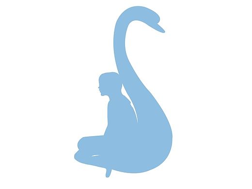 服装品牌IDA SWAN（个人主页-ZMTM0NTAwMzY=） - Logo - 站酷设计师宋鱼先生原创素材 - 站酷ZCOOL