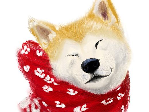练习
