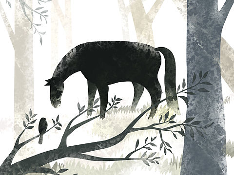 对某语言的后味