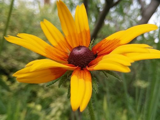 一花一世界（个人主页-ZMTI2NzE5Mjg=） - 风光摄影 - 站酷设计师Summer七七原创素材 - 站酷ZCOOL