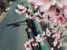 单车🚴/春季🍀