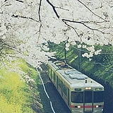废酒的头像