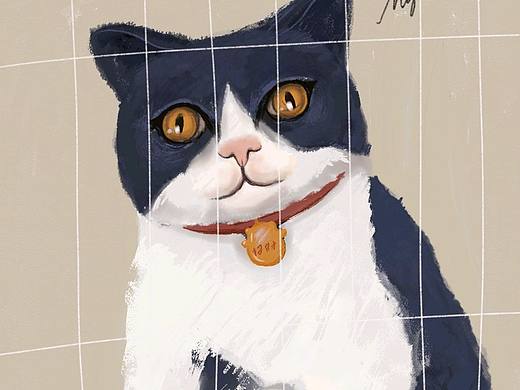 猫