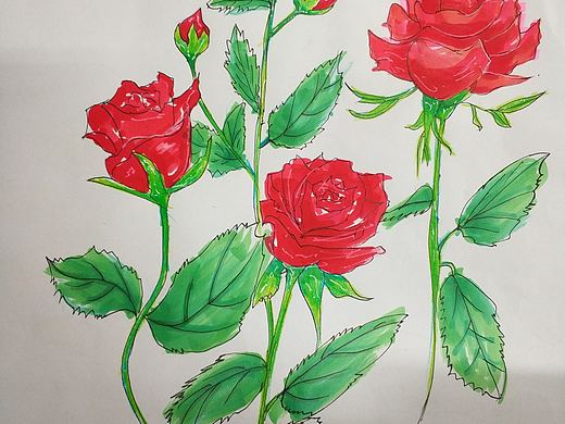 玫瑰花含笑花（个人主页-ZMjcxOTg5MjA=） - 绘本 - 站酷设计师Holly冬青原创素材 - 站酷ZCOOL