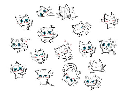 猫咪表情包