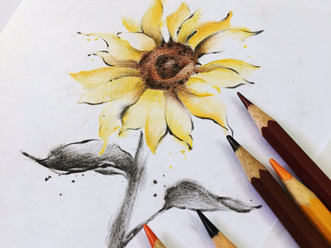 那些花