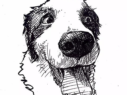 五年前的画