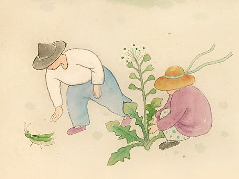 生在虫草间