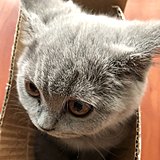 杨东上的头像