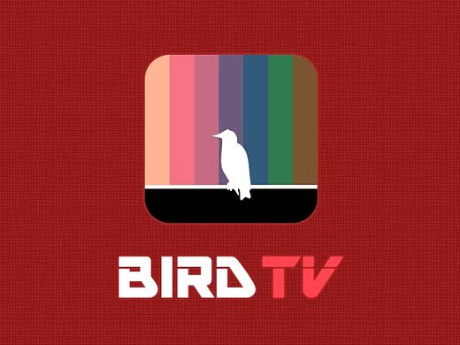 bird-tv