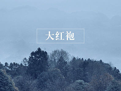 大红袍--正韵级详情