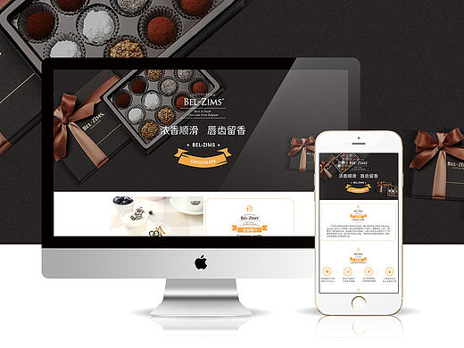 企业网站 案例 WEB PC端