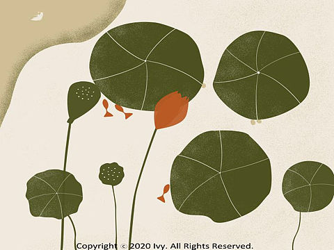 荷花（个人主页-ZNDYyODQ3MjA=） - 创作习作 - 站酷设计师Ivy晨原创素材 - 站酷ZCOOL