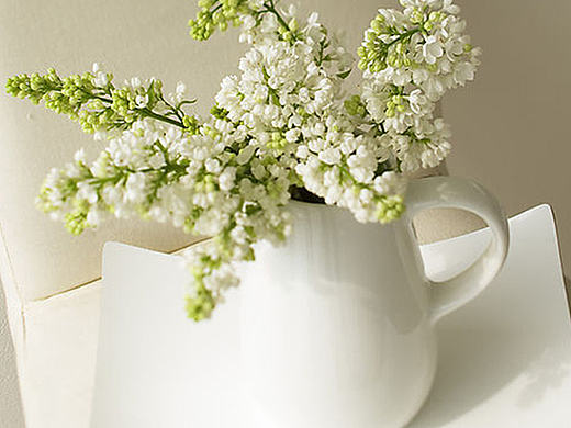 折页（个人主页-ZMTk0Nzg2MDQ=） - 宣传物料 - 站酷设计师CodyGuo原创素材 - 站酷ZCOOL