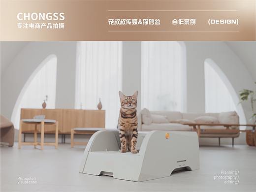 宠物产品 | 猫砂盆 | 电商视频 | 宠叔叔传媒