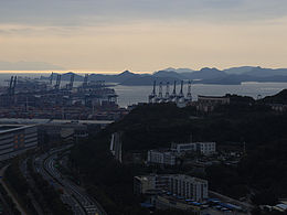 UU随拍｜深圳盐田港的早上