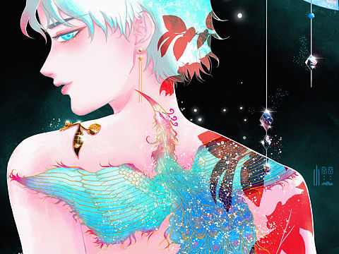 天生凤凰印记的少年