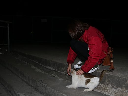 陪伴（个人主页-ZMjI4MjYxNzY=） - 人像摄影 - 站酷设计师方方不圆原创素材 - 站酷ZCOOL