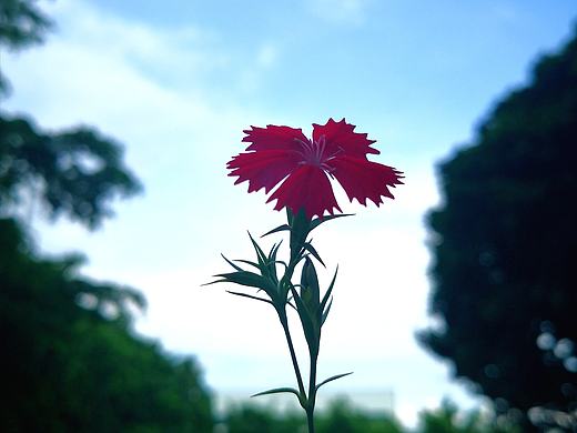 攝影（個人主頁-ZNDU3Mjk2NjA=） - 產(chǎn)品攝影 - 站酷設(shè)計師吳舒媛原創(chuàng)素材 - 站酷ZCOOL