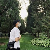 拾叶_PickupAleaf的头像
