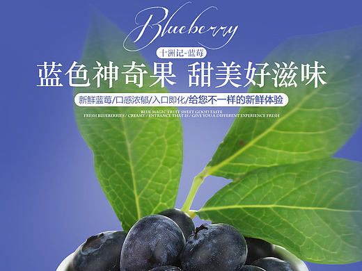 电商淘宝天猫水果蓝莓详情页