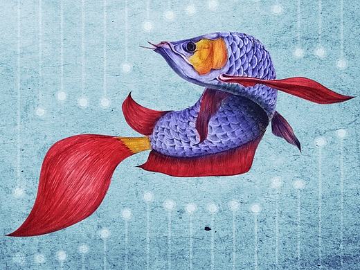 固执的鱼（个人主页-ZMTgwMDYyMTY=） - 艺术插画 - 站酷设计师shenchen3134原创素材 - 站酷ZCOOL